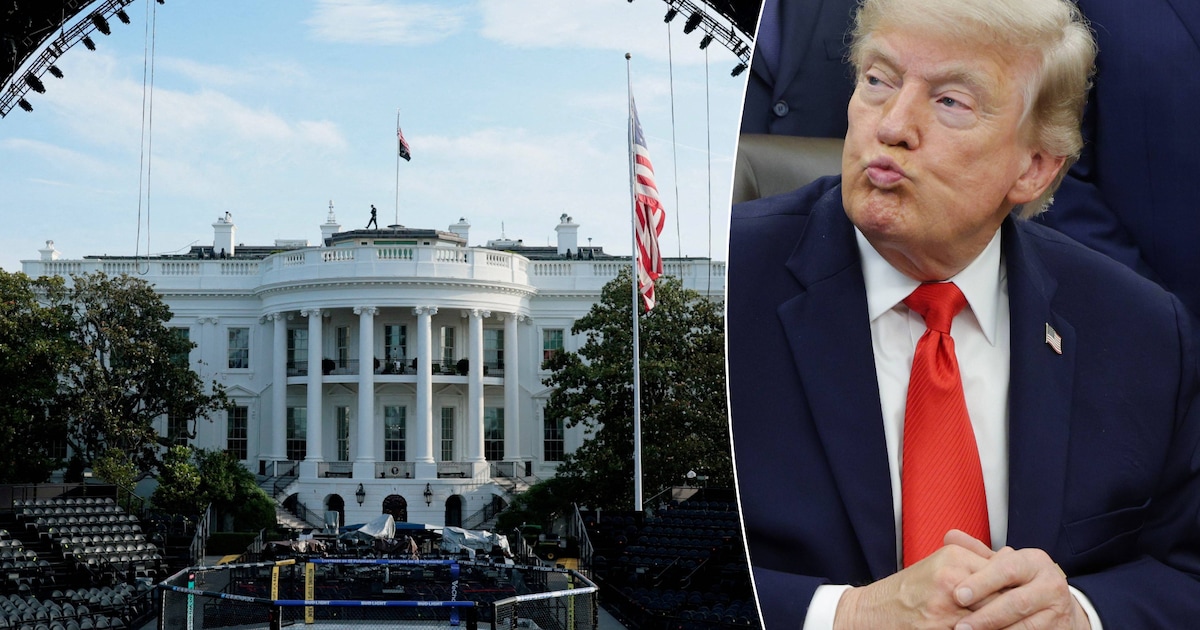 Van verboden sport tot Witte Huis: MMA-wereld in shock over Trumps bizarre verjaardagscadeau aan zichzelf