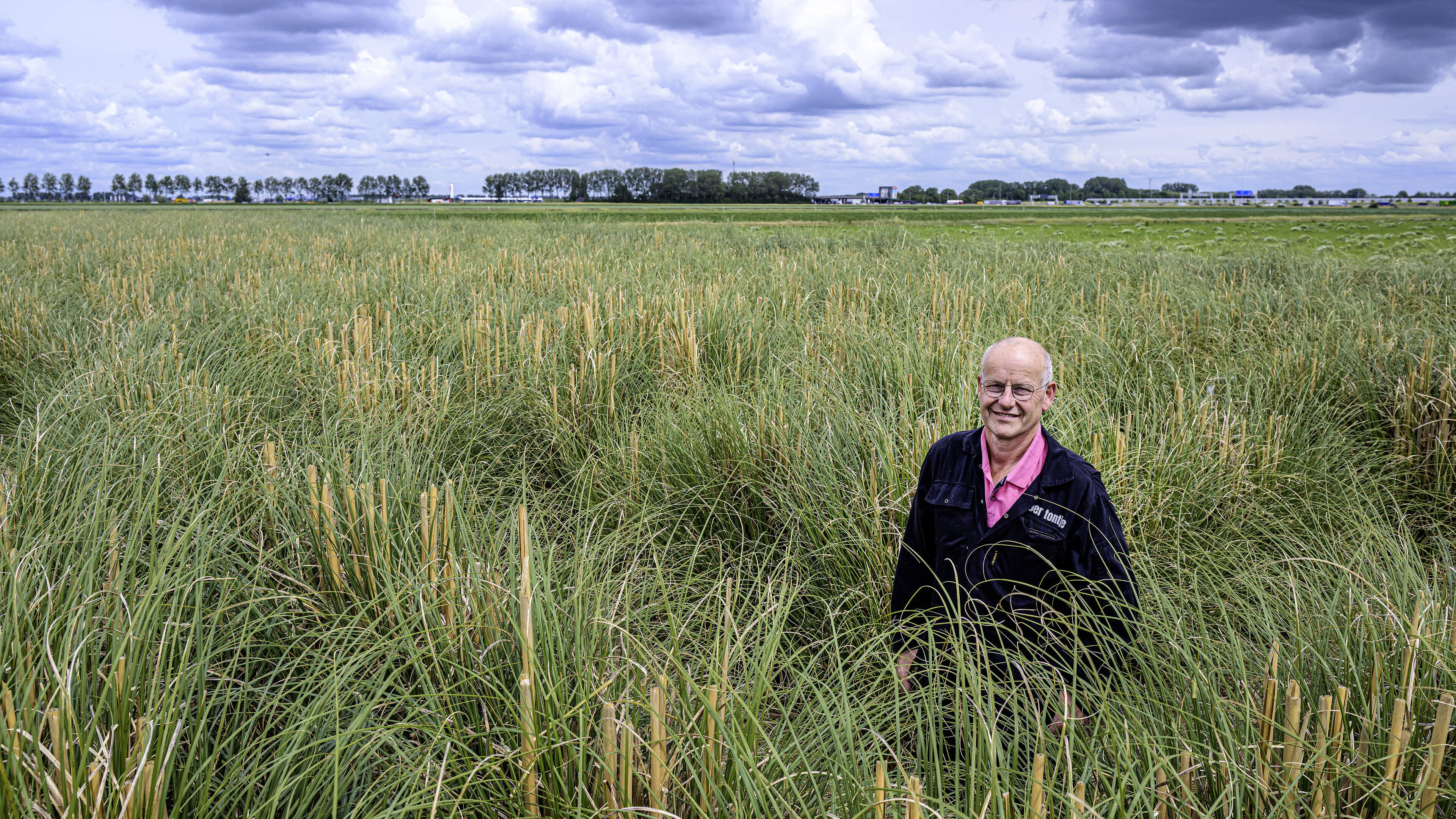 Boer Ton heet gezinnen welkom in het enige pampasgrasdoolhof van Europa: ’Je kunt er een heerlijk middagje van maken’
