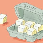 De eiwittransitie vervangt misschien geen vee, het levert wel degelijk waarde