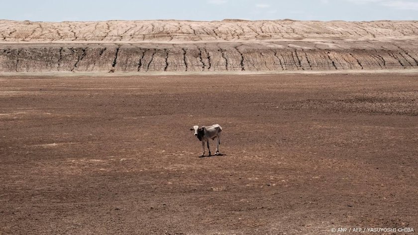 WMO: opwarming raakt Afrika hard, ook gletsjers bijna verdwenen