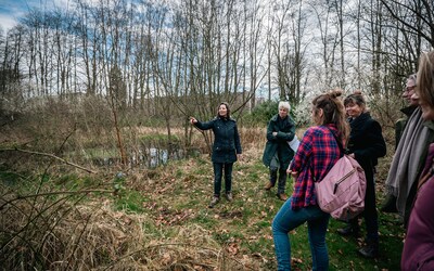 Na twaalf jaar einde voor voedselbos aan Elburglaan: gemeente Eindhoven wil meedenken over nieuwe locatie