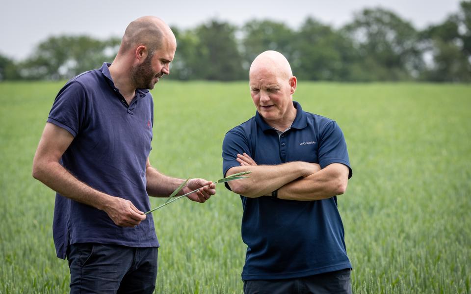 Boeren Hendrik, Albert en Gert bedrijven duurzame zeven-vinkjes-landbouw: minder kunstmest en chemie, meer erwten