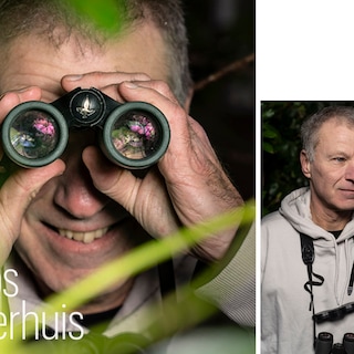 Jakob, Jacob en Jan: hoe de vlinders ook precies heten, elk jaar is weer spannend of ze er zijn