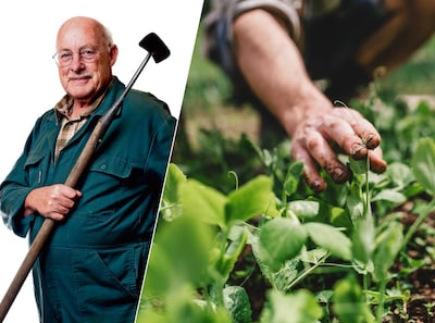 Sierplanten en groenten mengen voor kleine tuinen, zegt expert