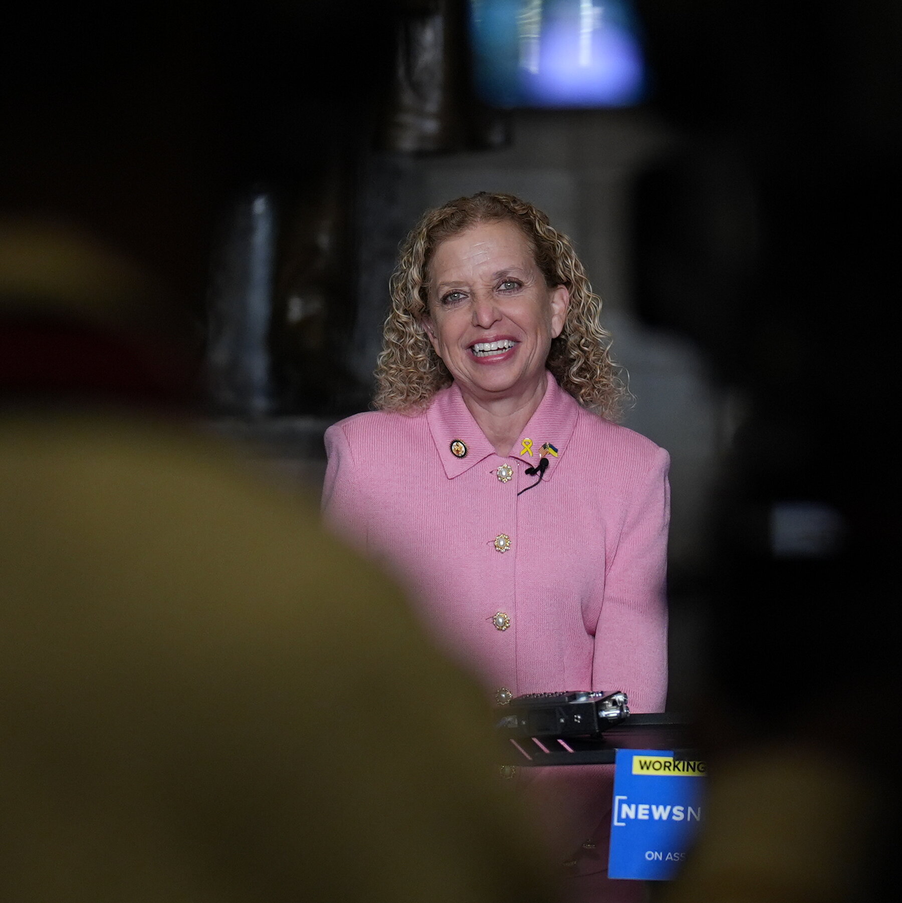 How Redistricting Pit Wasserman Schultz Against Black Democrats in Florida