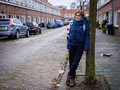 Buurten veel te heet zonder bomen: ‘Bewoners verdienen bescherming tegen hitte’