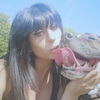 Nederlandse hond moet op last van Franse rechter dood omdat hij zwangere vrouw doodbeet