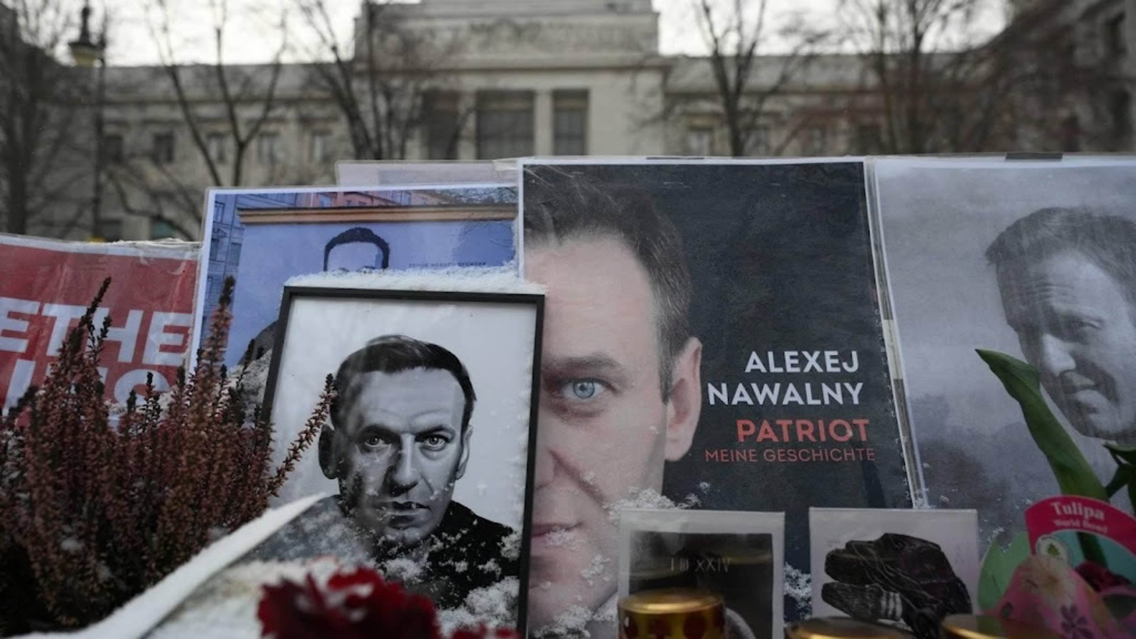 EU-ministers akkoord met sancties tegen betrokkenen dood Navalny
