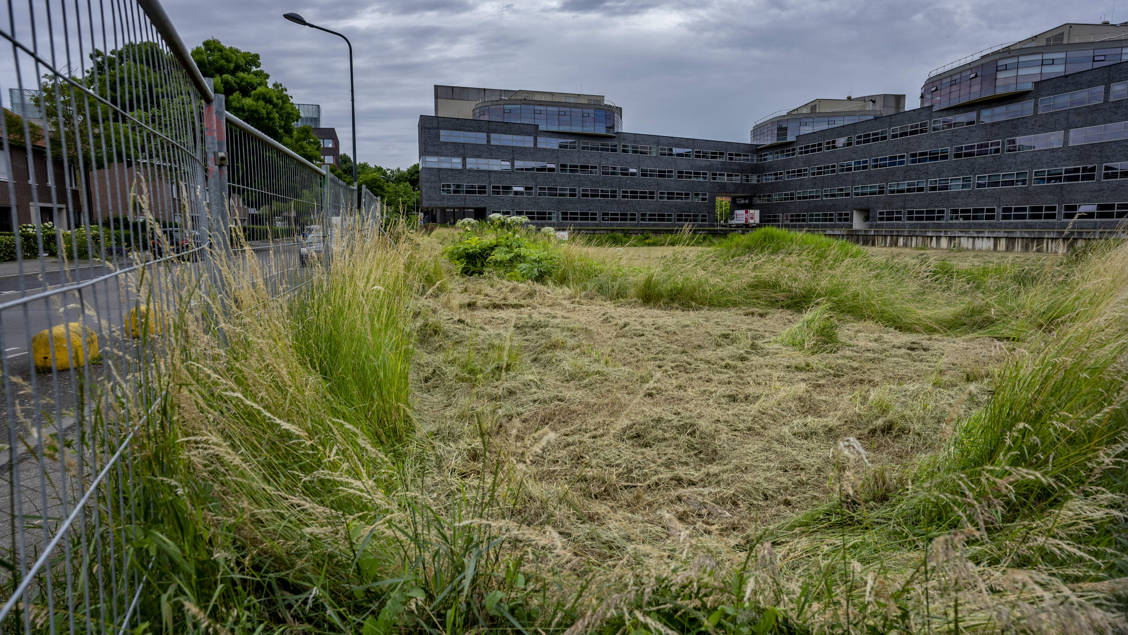 Raadsel: waarom blijft uitgerekend dit Maastrichtse stuk grond al 25 jaar onbebouwd?