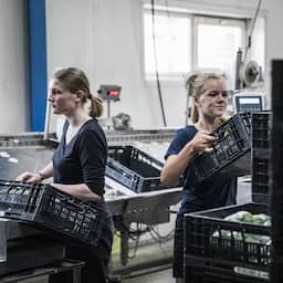 Bijna kwart miljoen Nederlandse jongeren wil meer uren werken