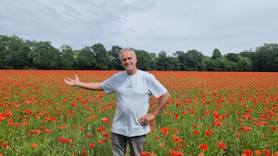 Geen fout in het zaad: onderzoek verklaart enorme klaprozenzee bij boer Frank