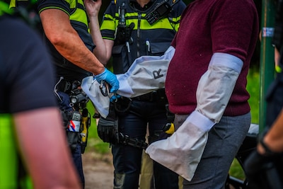 Eindhovenaar (33) aangehouden voor woningoverval, bewoonster (86) gewond