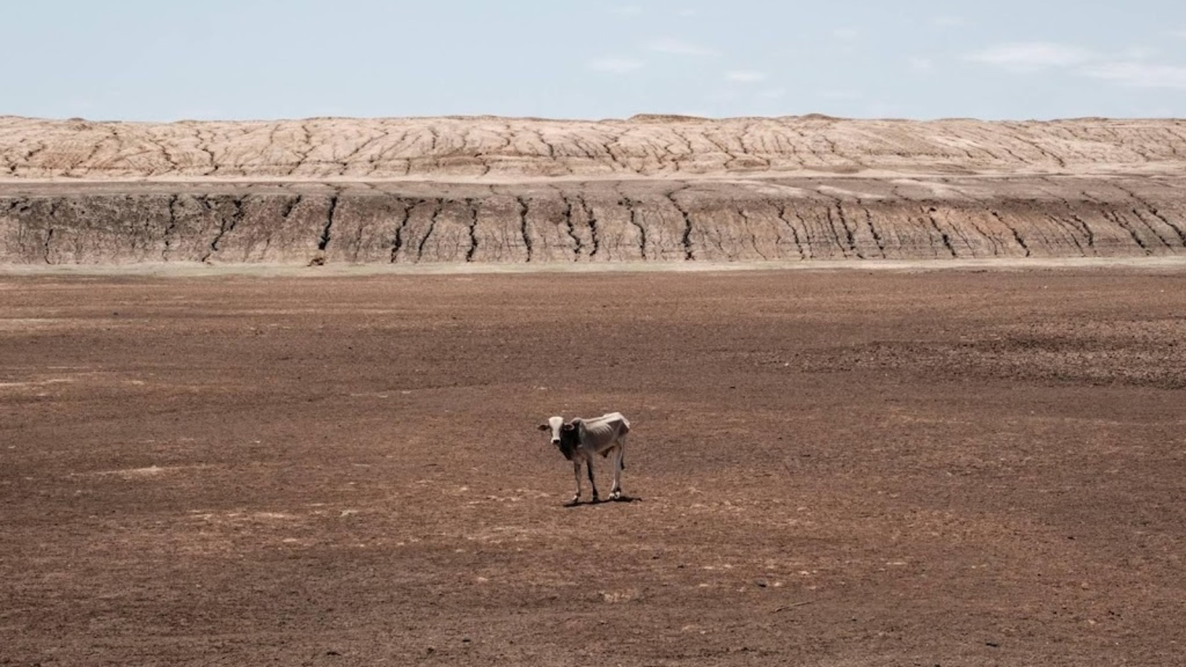 WMO: opwarming raakt Afrika hard, ook gletsjers bijna verdwenen