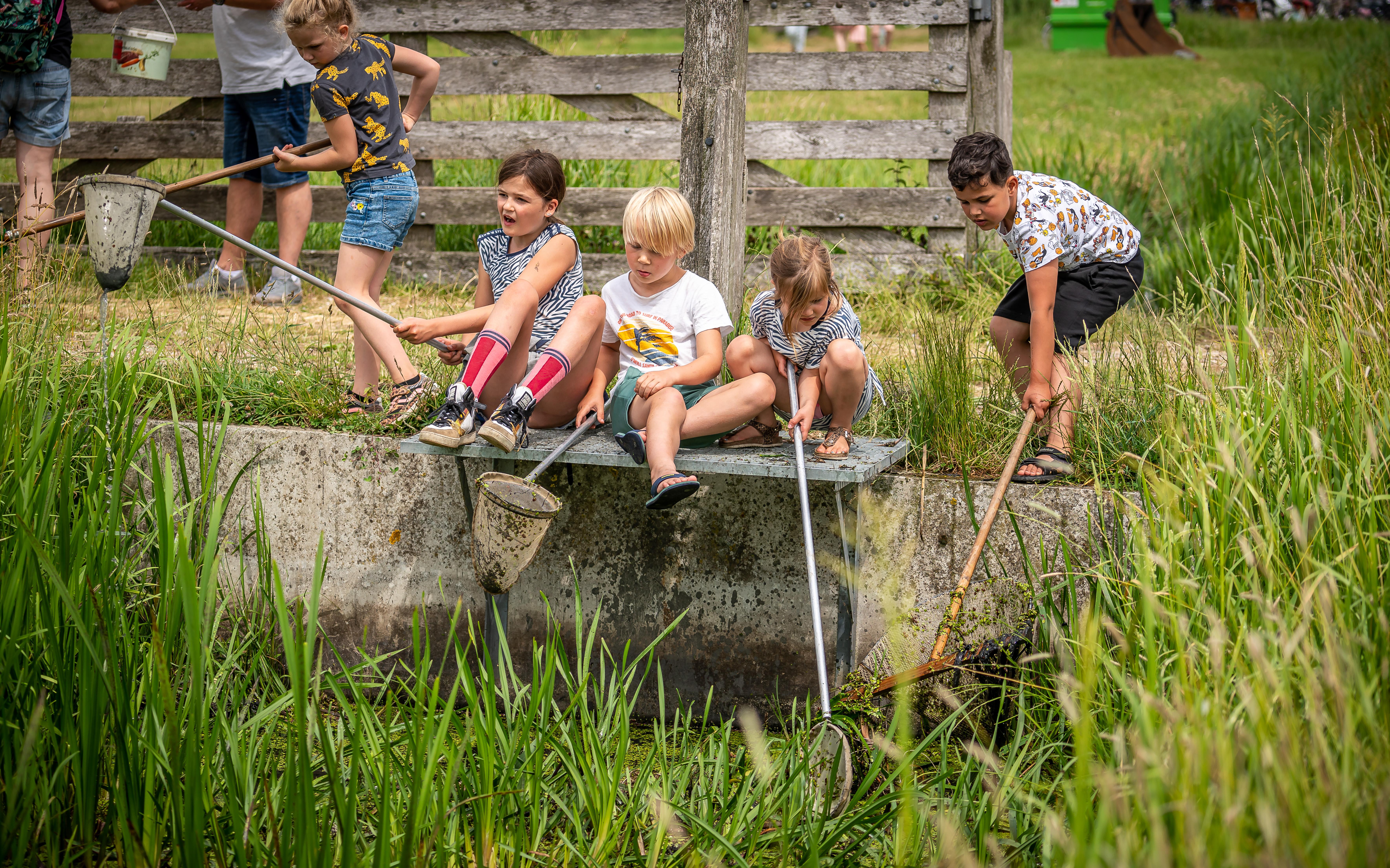 Wat leeft er in de sloot en schaapskooi? Van waterschorpioenen tot lammetjes