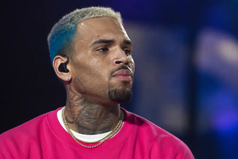 Chris Brown wil nieuw proces na 13 miljoen dollar boete in hondenzaak