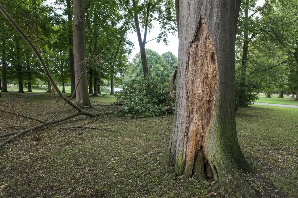 Kruikenburgpark in Ternat wordt vanaf eind augustus 2026 vernieuwd
