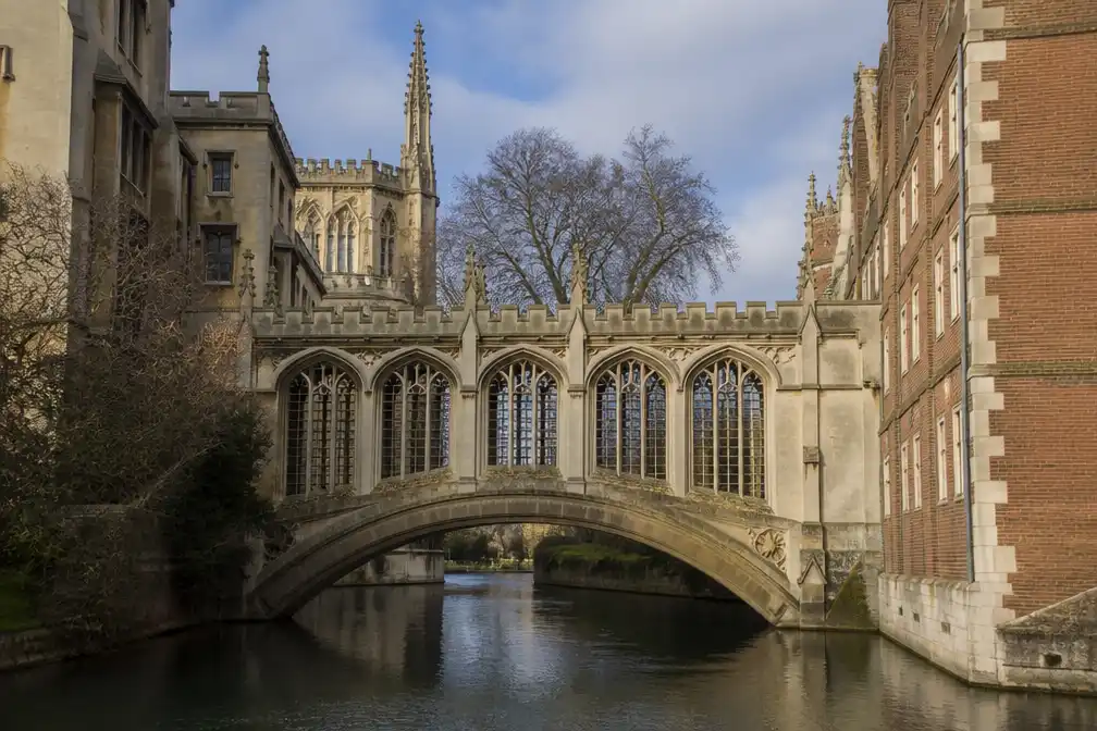 Cambridge-socioloog Jason Arday stapt op na plagiaat- en cv-beschuldigingen
