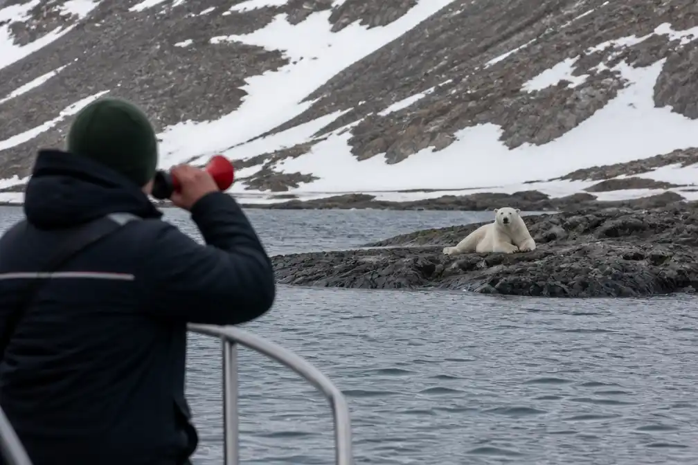 Man beboet met 4.550 euro voor wakker maken ijsbeer op Spitsbergen