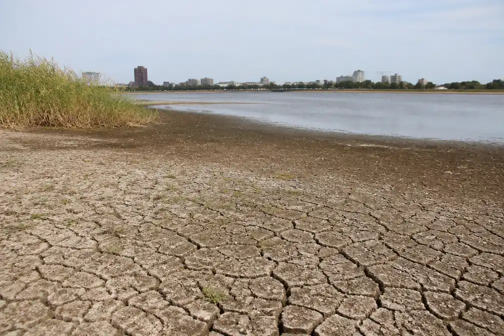 Nederland roept nog geen watercrisis uit ondanks ernstige droogte