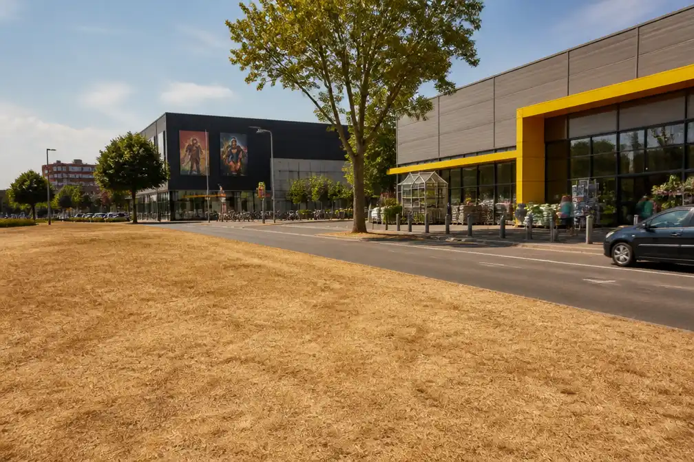 ABN AMRO: bedrijven moeten zich voorbereiden op extreem weer of raken achterop