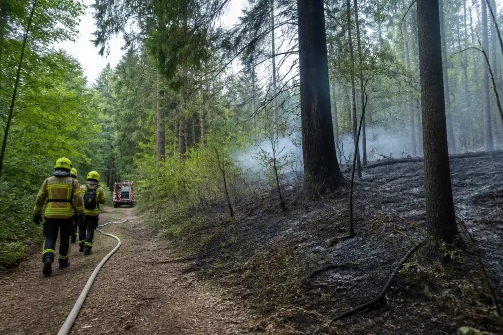 Natuurbrand in Hürtgenwald onder controle, zeggen autoriteiten
