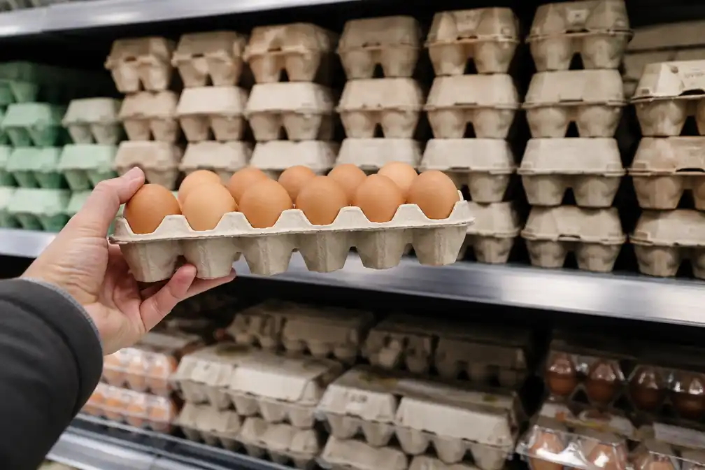 Salmonella-uitbraak in VK: één dode en honderden zieken door geïmporteerde eieren