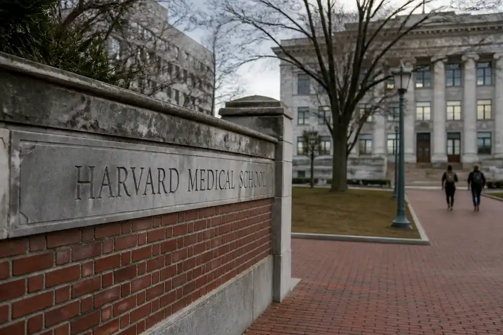 Harvard betaalt 53 miljoen dollar om schikking na verkochte lichaamsdelen