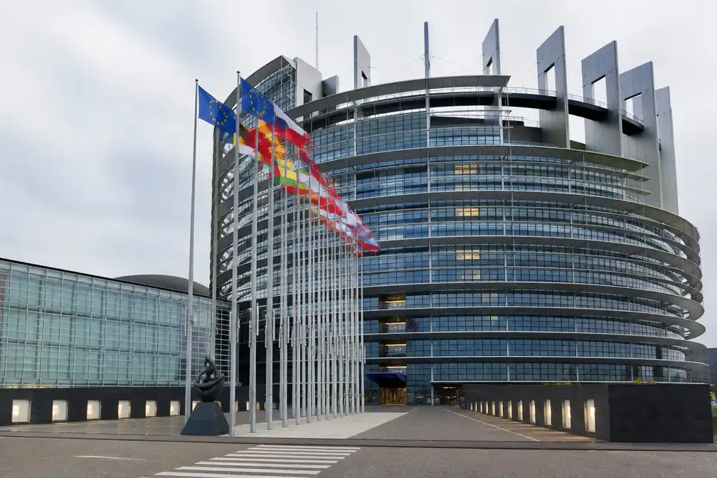 PRO moet in Europees Parlement bij sociaal-democraten, niet bij Groenen; leden beslissen in september