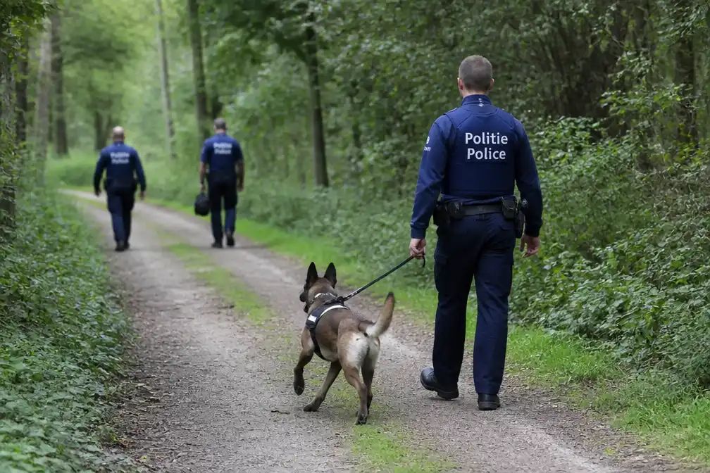 Speurhond bijt voorbijgangster tijdens zoekactie in Maasmechelen