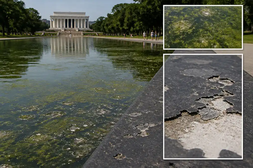 Algen en loslatende verf in Reflecting Pool; Trump beschuldigt vandalen, olympiër gearresteerd