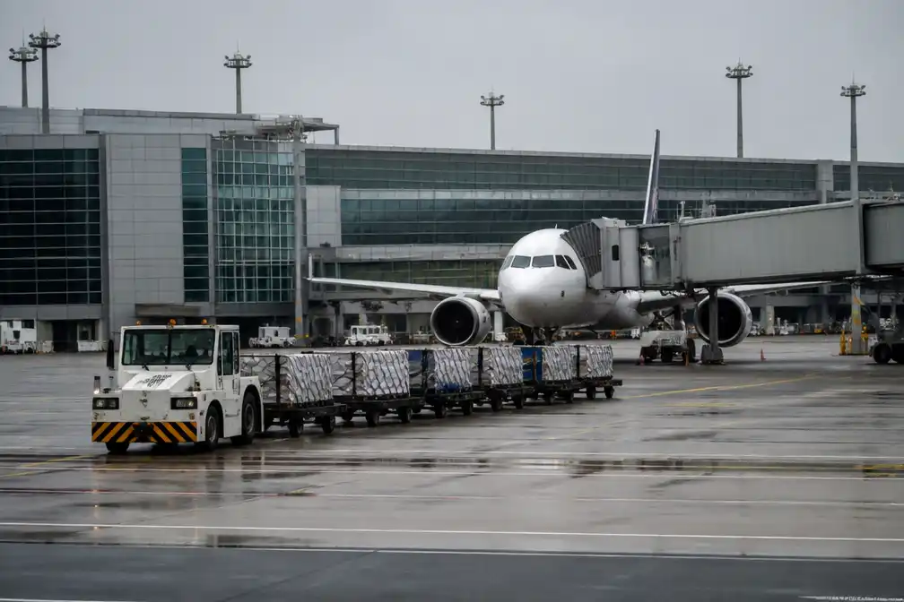 Werknemer luchthaven Frankfurt overleden aan malaria na muggenbeet