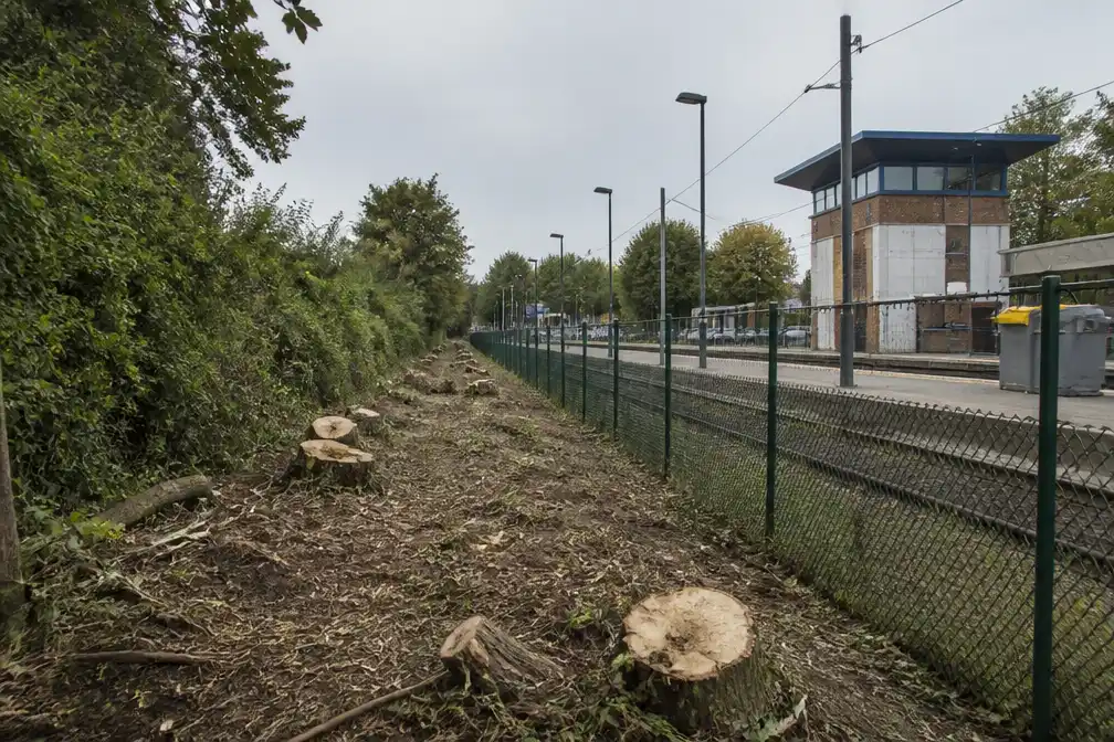 Infrabel legt kapwerken aan station Heide-Kalmthout stil na gebrek aan overleg