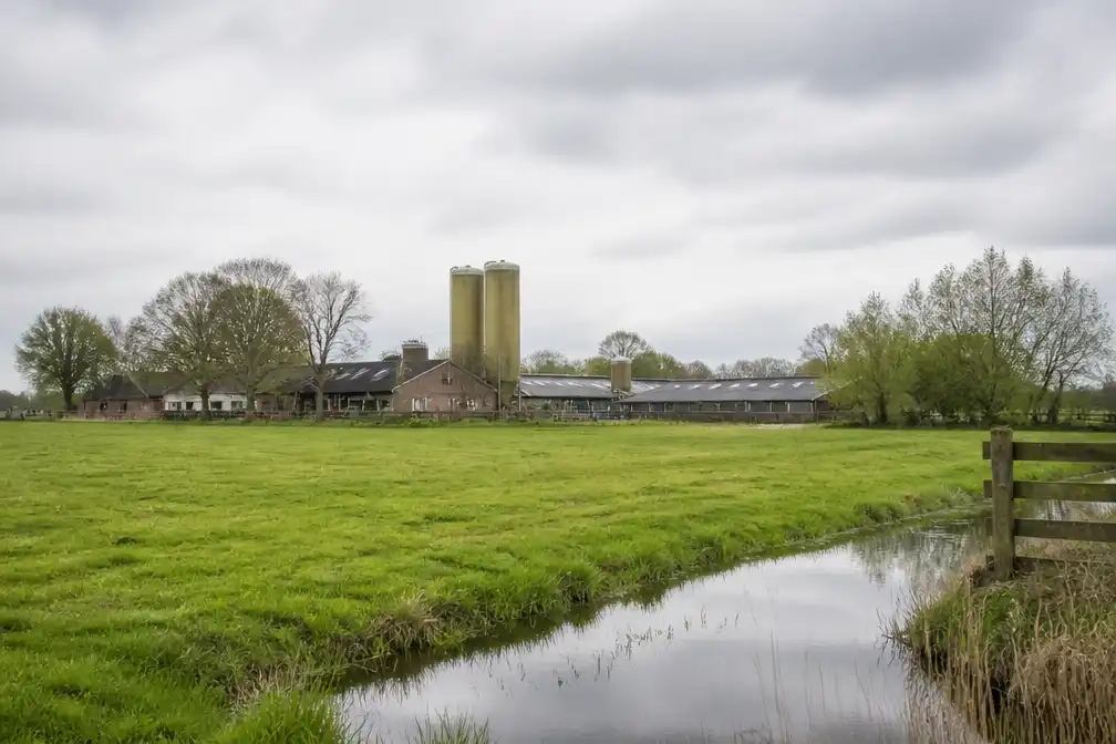 Overijssel twijfelt aan haalbaarheid stikstofplannen minister Van Essen