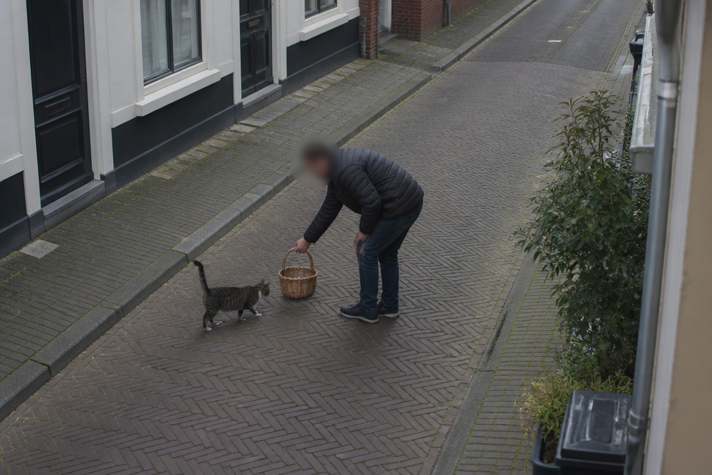Kat Luna gestolen nadat man haar met mandje lokt op straat in Gouda