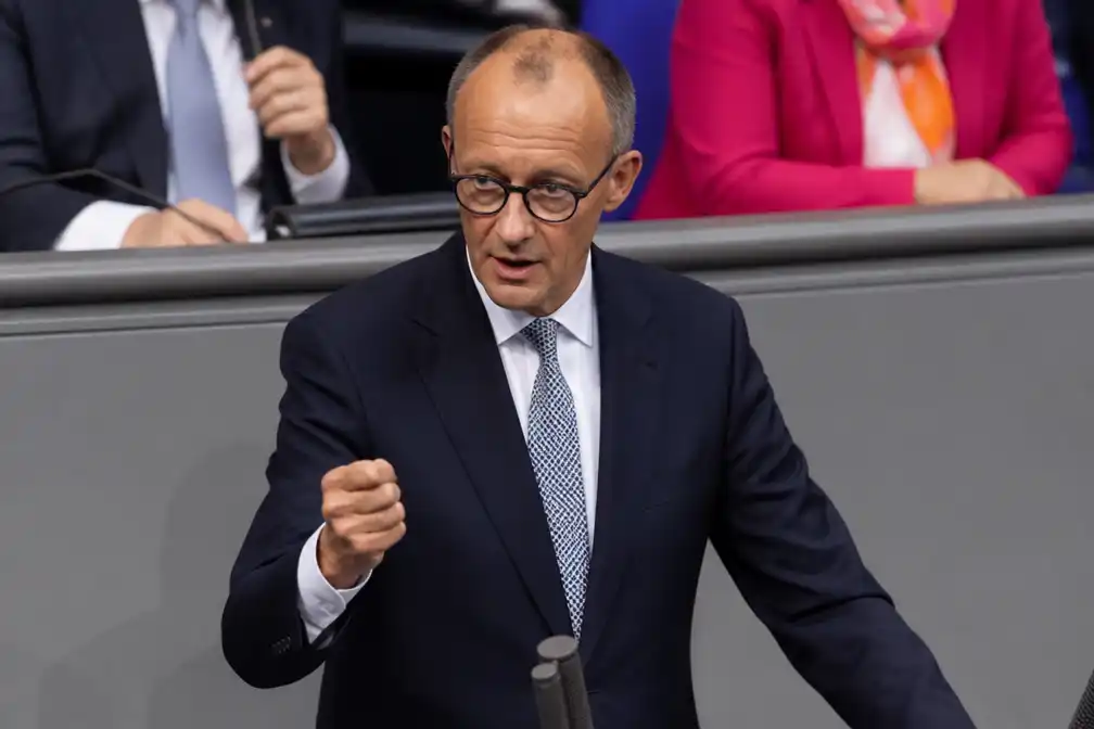 Merz: AfD-term remigratie is etnische zuivering