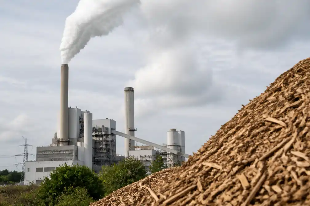 PBL: houtverbranding niet nodig voor klimaatneutraal Nederland