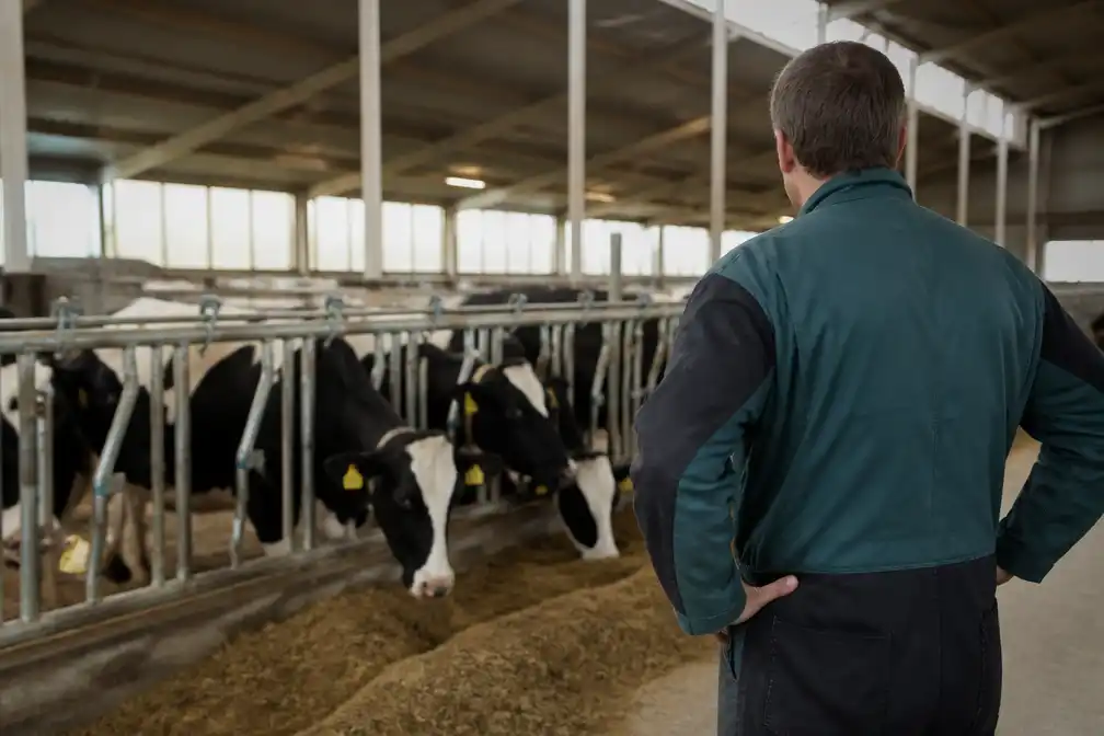 Agractie: troonrede bevat niets positiefs voor veehouderij