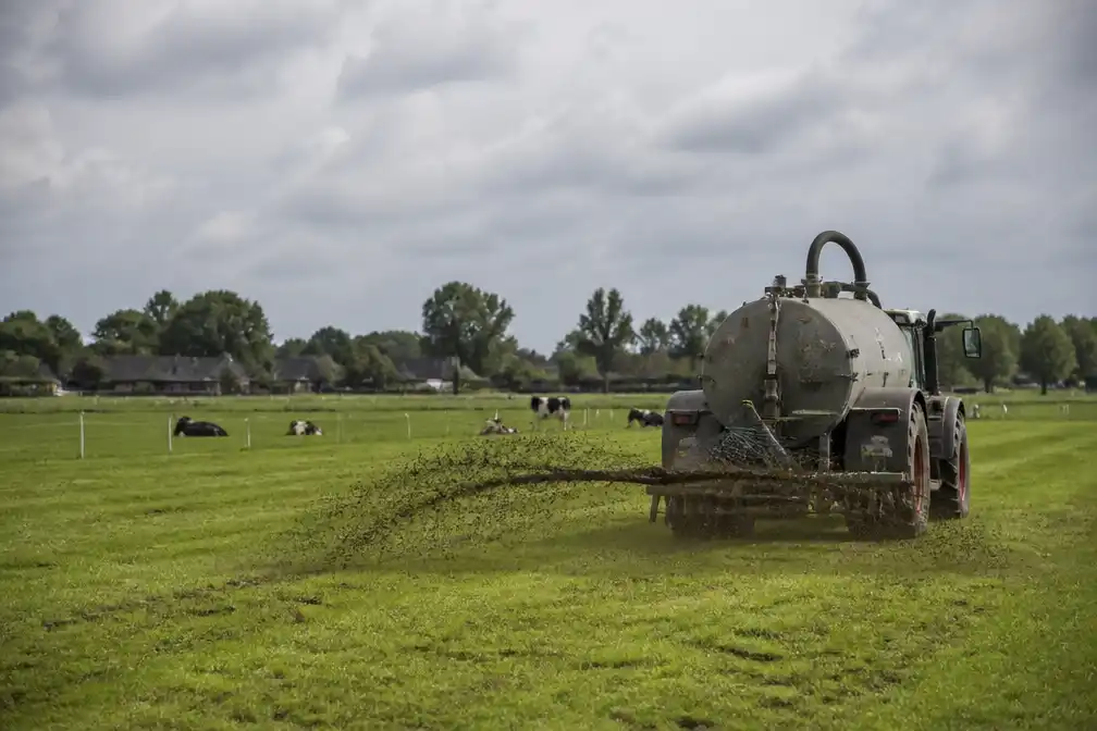 Vier Utrechtse gemeenten uiten zorgen over provinciaal stikstofplan