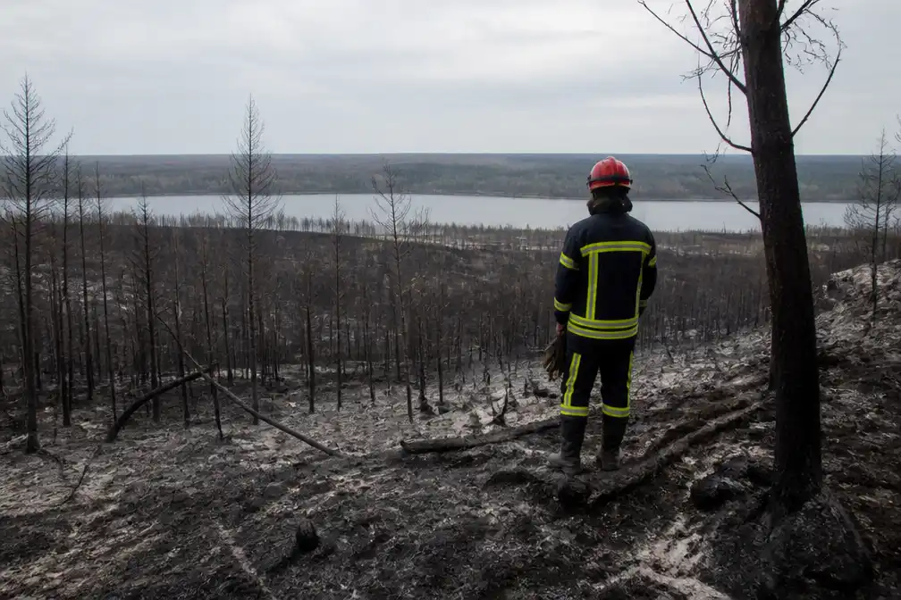 Grootste natuurbrand in Frankrijk sinds 1949 gedoofd bij Saumos in Gironde