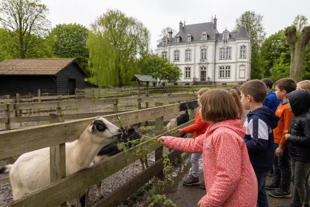 Gent schrapt dierenverplichting voor overnemer Schoolhoeve de Campagne in Drongen