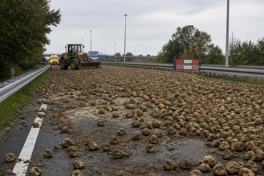 A256 bij Goes dicht na lading suikerbieten op de weg