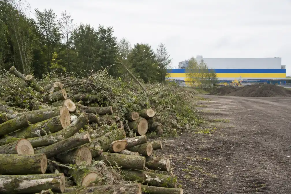 Jan De Nul mag 113 bomen rooien op terrein in Hofstade