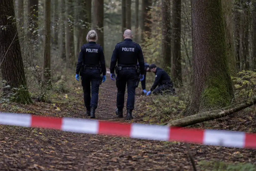 Wandelaar vindt naakt lichaam van vrouw in bos op Veluwe; politie start moordonderzoek