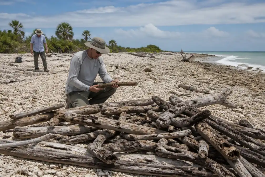 Expeditie op Nikumaroro vindt geen spoor van Amelia Earharts vliegtuig