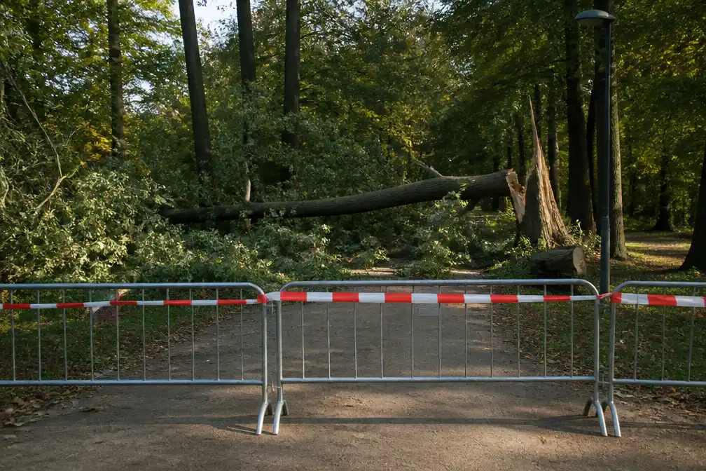 Park Haffmans in Bilzen blijft tot einde van de week dicht na zwaar ongeval met boom