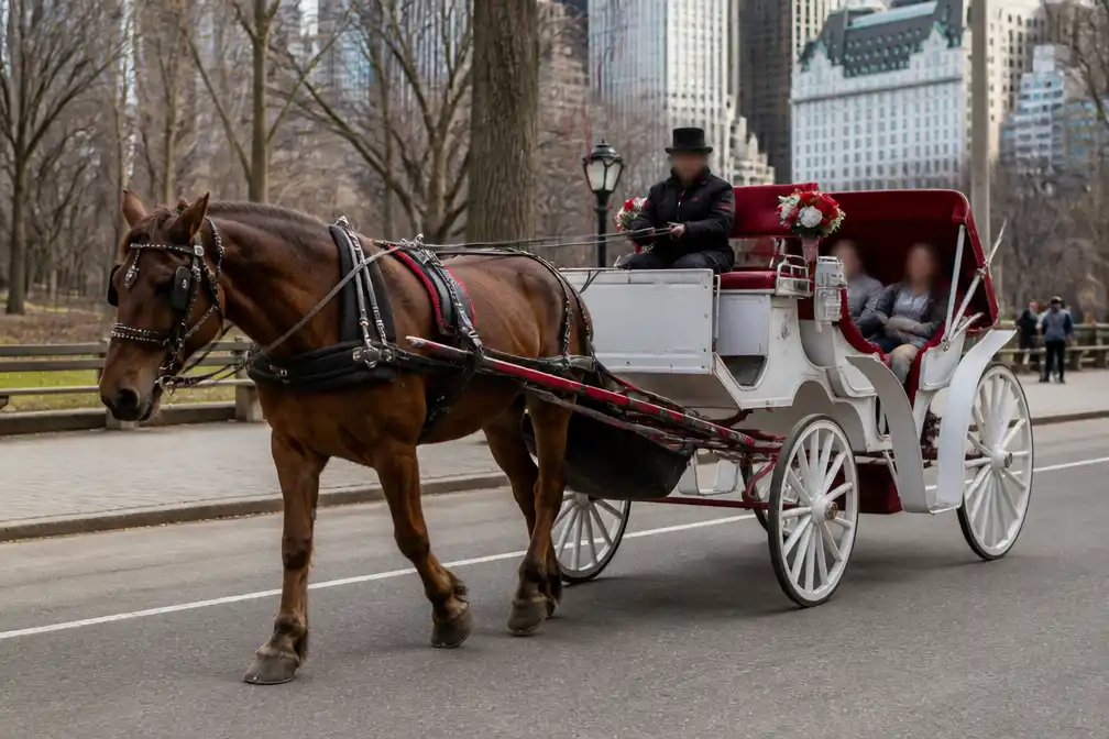New York verbiedt paardenkoetsen in Central Park vanaf 1 juni 2028
