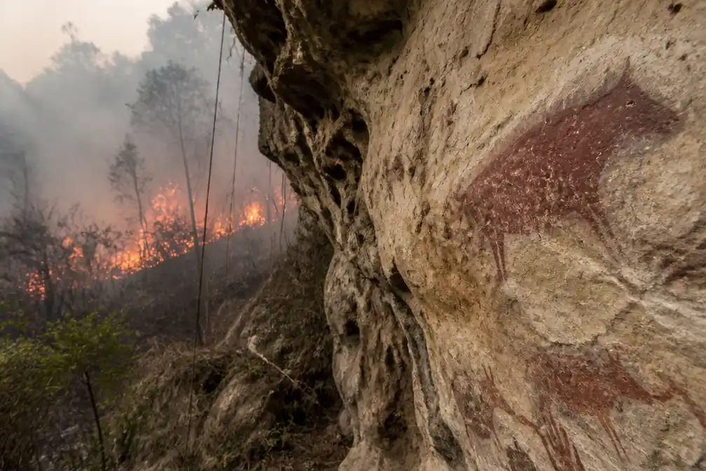 Bosbranden op Sulawesi bedreigen oudste grotschilderingen ter wereld