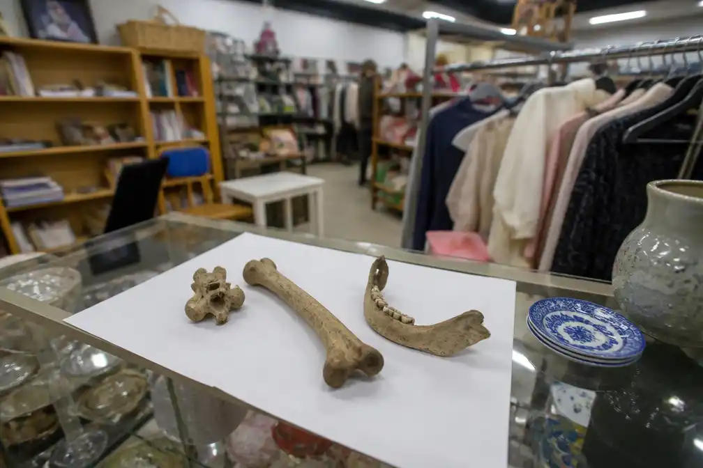 Menselijke botten voor 50 euro verkocht in kringloopwinkel in Mortsel