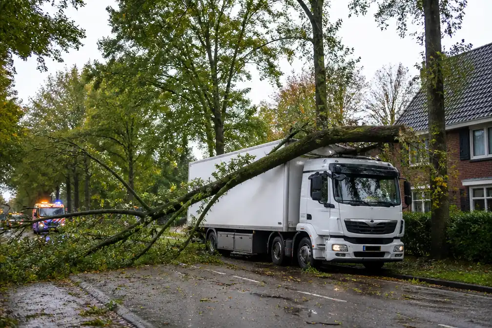 Storm Austen: boom valt op vrachtwagen in Breda, ook boom om in Rijen