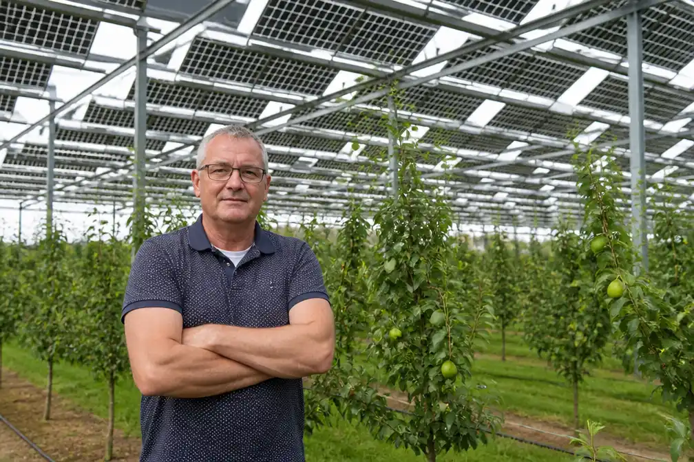 Fruitteler Jan Brouwer heeft grootste zonneveld boven fruitbomen van Nederland